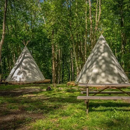 Woody Park Fécamp