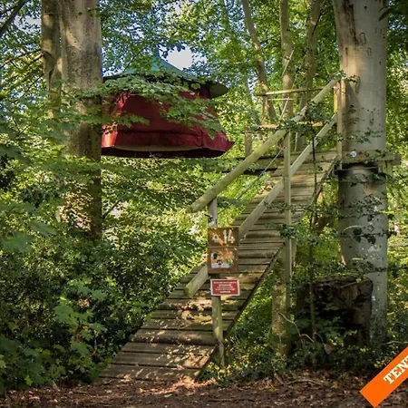 Woody Park Fécamp