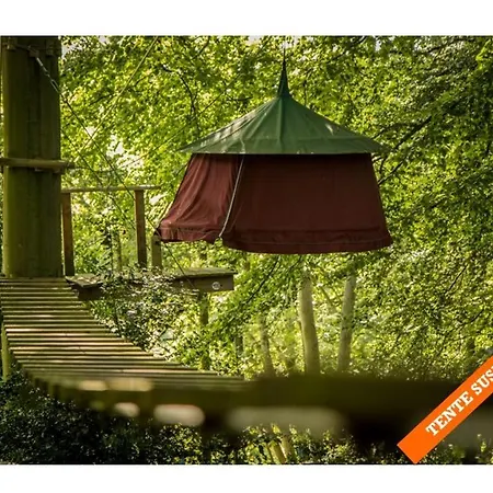 Kamp alanı Woody Park *