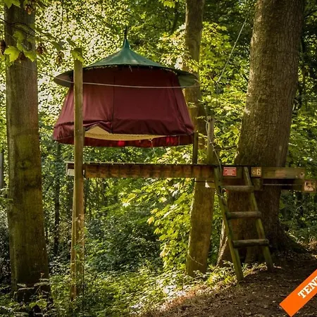 Woody Park *