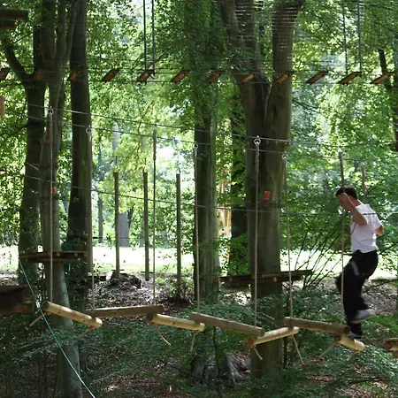 Woody Park *