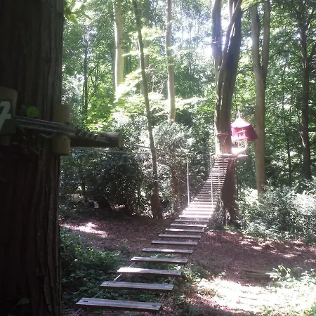Woody Park キャンプ場 *
